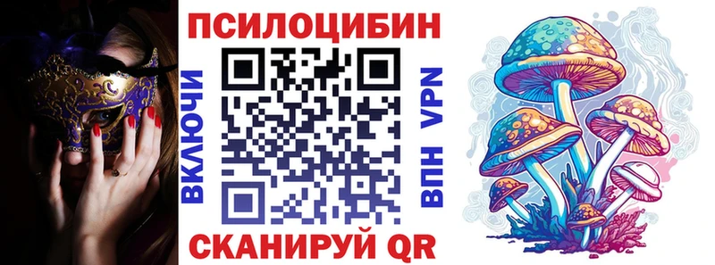 Галлюциногенные грибы Psilocybe  Поворино 